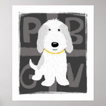 PBGV gris et blanc Posters