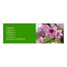 peach_blossoms1 visitekaartje