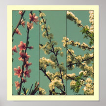 . Peach.Plum.Pear. Posters