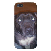 Peau de Staffy iPhone 5 Case