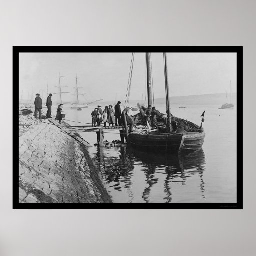 Pêchant dans Lerwick, l'Ecosse 1914 Poster