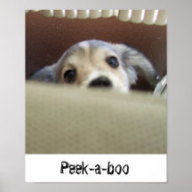 Peekaboo Plaat