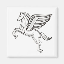 pegasus1 magnets