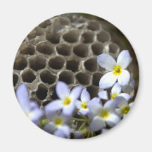 Peigne et fleurs de ruche d'abeille magnets