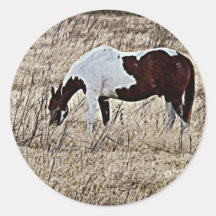 Peignez le cheval adhésif rond