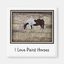 Peignez le cheval magnets