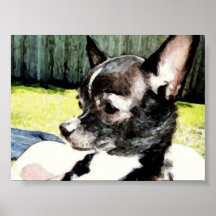 Peinture de chiwawa affiches