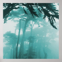Peinture de photo de brouillard de Forrest Posters