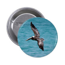 Pélican en vol badge