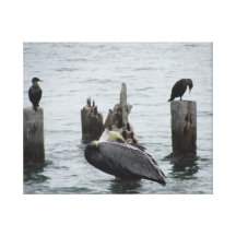 Pélican et oiseaux sur le pilier toile tendue sur châssis