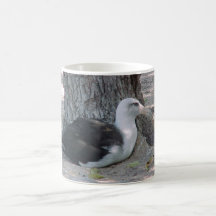 PELIKAAN KOFFIE BEKERS