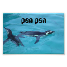 pen pen フォト