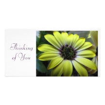Pensée à vous marguerite cartes avec photo