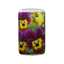 Pensées dans la caisse pourpre et jaune de Blackbe Coque Blackberry Bold