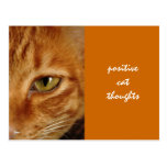 pensées positives de chat cartes postales