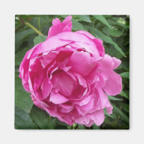 Pensez la fleur rose magnets