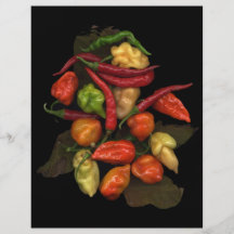 Peper Fullcolor Folder
