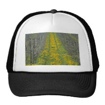 pépinière jaune au printemps avec des pissenlits casquettes de camionneur
