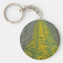 pépinière jaune au printemps avec des pissenlits porte-clef
