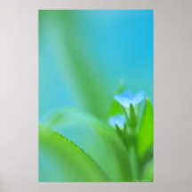 Perfection minuscule posters