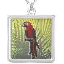 Perroquet #4 pendentifs