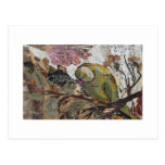 perroquet carte postale