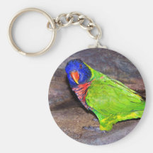 Perroquet de Lorikeet d'arc-en-ciel sur le mur de  Porte-clef