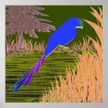 Perroquet mauve bleu à la copie de nuit affiches