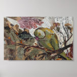Perroquet Posters