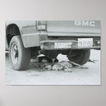 Perros Callejeros Posters