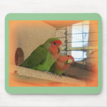 Perruches Mousepad Tapis De Souris