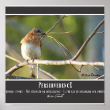 Perserverence Poster