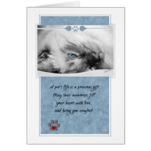 Perte de sympathie d'animal familier de chat siamo cartes de vœux