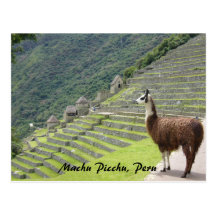 Peruviaanse lama wens kaart
