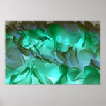 Pétales gris et verts éffrayants affiches