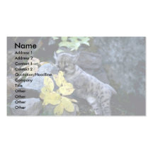 Petit animal de semaine de Puma-six vieux Cartes De Visite Personnelles