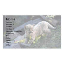 Petit animal de semaine de Puma-six vieux Cartes De Visite Professionnelles