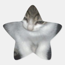 Petit pain adhésifs
