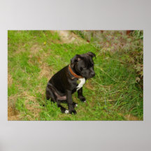 Petit personnel poster