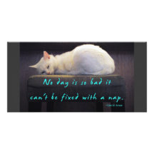Petit somme de chat carte avec photo