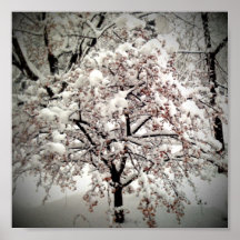 Petite copie de FirstSnow 65 Posters