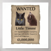 Peu de Timmi a voulu l'affiche