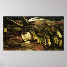 peu de toit posters