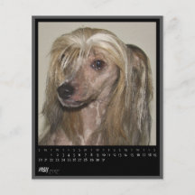 peut le calendrier 2012 prospectus