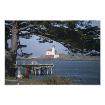 Phare par les arbres photographies