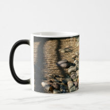 Phoenix, AZ Tasse