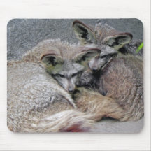 Photo à oreilles se blottissante adorable de paire tapis de souris