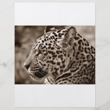 Photo de Jaguar Prospectus