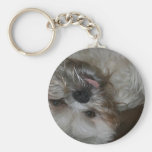 photo mignonne adorable de chiot de tzu de shih porte-clés