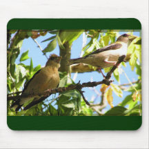Photo Mousepad de faune Tapis De Souris